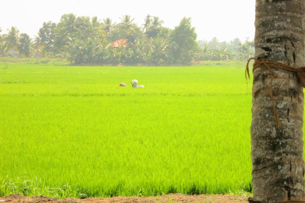 Marari Secret Beach Yoga Homestay Mararikulam Exteriér fotografie