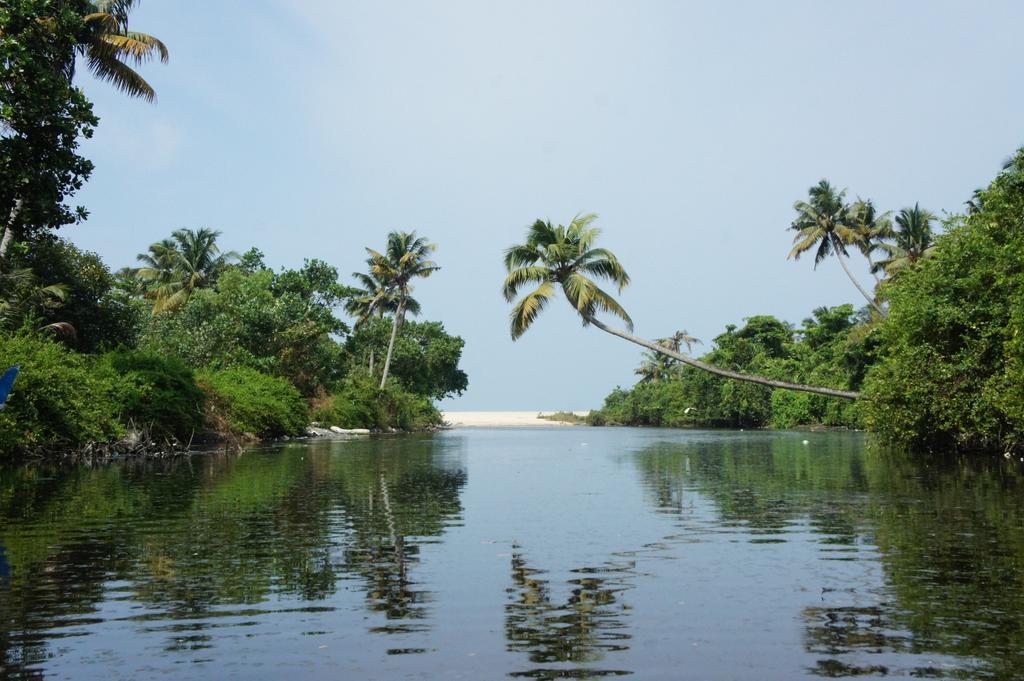 Marari Secret Beach Yoga Homestay Mararikulam Exteriér fotografie